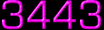 blog counter