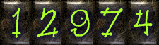 hits counter