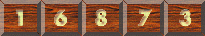 free hits counter