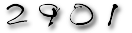 blog counter