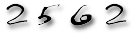 web counter
