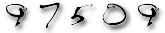 web counter