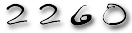 web counter